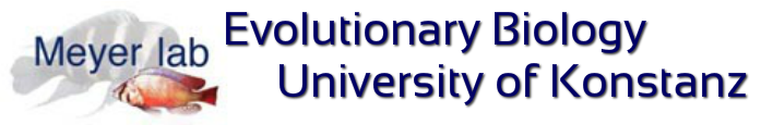 Evolutionsbiologie Uni Konstanz